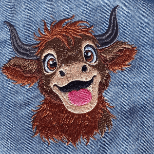 Highland_cow_4