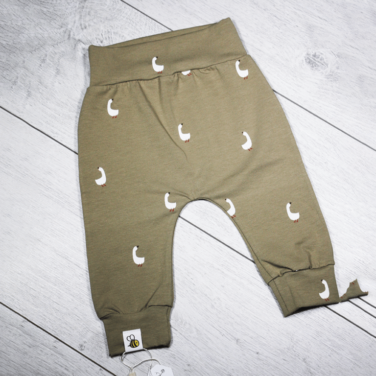 Harembroekje_Little_Goose